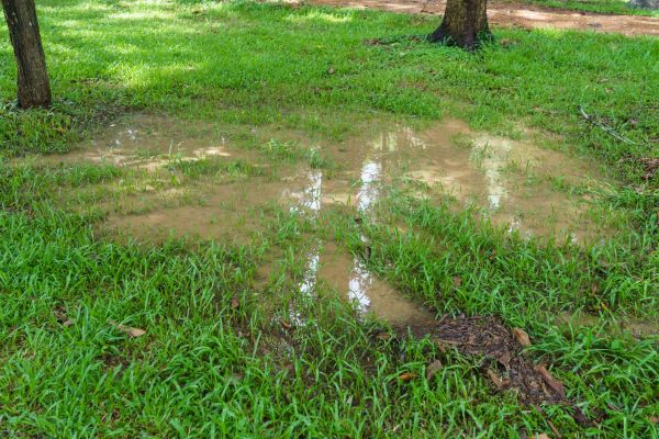 Storm Water Drainage Service in Jacksonville