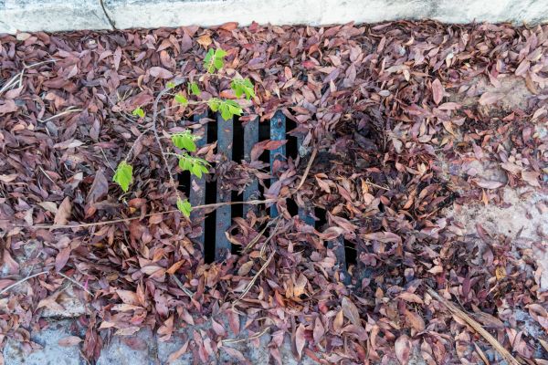 Yard Drain Unclogging in Jacksonville