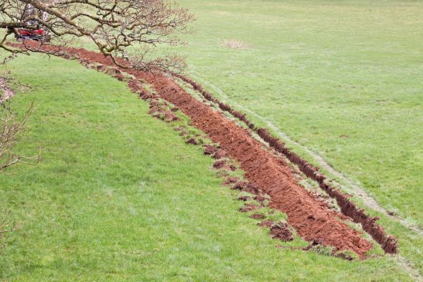 Cost of Swale Installation in Jacksonville