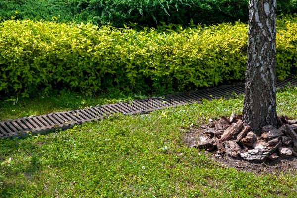 Residential Landscape Drainage in Jacksonville