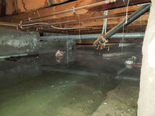 Cost of Crawlspace Drainage in Jacksonville