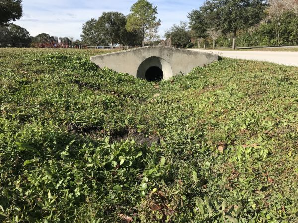 Cost of Swale Drainage Service in Jacksonville